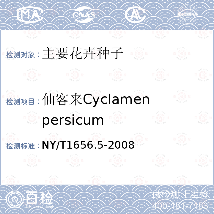 仙客来Cyclamen persicum NY/T 1656.5-2008 花卉检验技术规范 第5部分:花卉种子检验