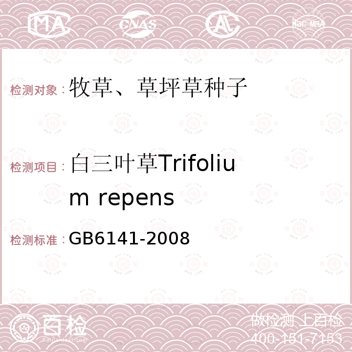 白三葉草Trifolium repens 豆科草種子質(zhì)量分級(jí)