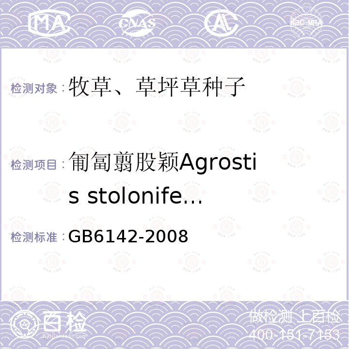 匍匐翦股颖Agrostis stolonifera GB 6142-2008 禾本科草种子质量分级