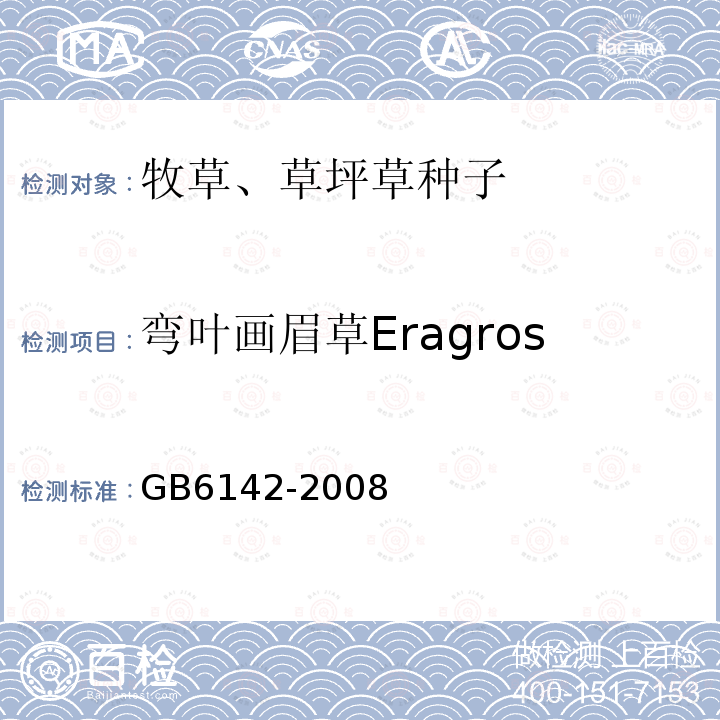 弯叶画眉草Eragrostis  curvula GB 6142-2008 禾本科草种子质量分级
