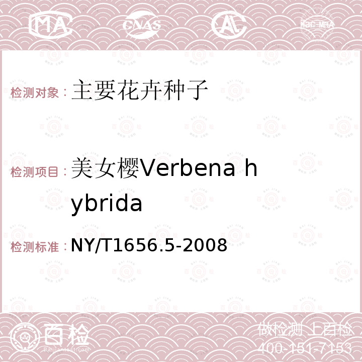 美女樱Verbena hybrida 花卉检验技术规范 第5部分：花卉种子检验