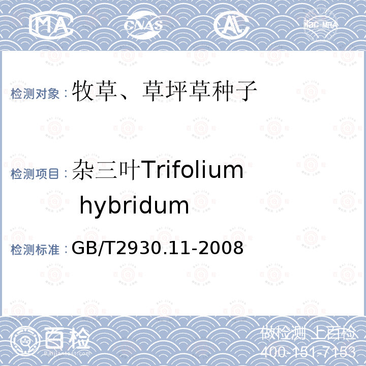 杂三叶Trifolium hybridum 草种子检验规程 检验报告