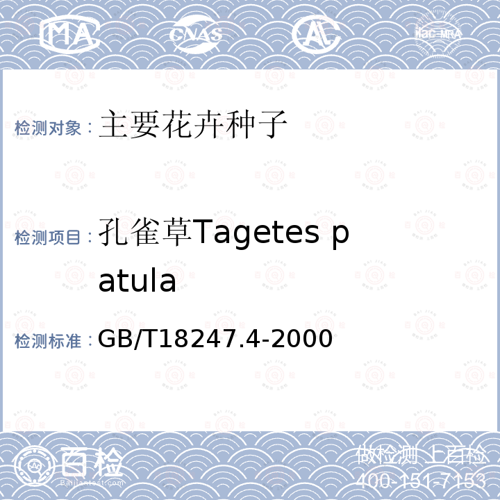 孔雀草Tagetes patula GB/T 18247.4-2000 主要花卉产品等级 第4部分:花卉种子