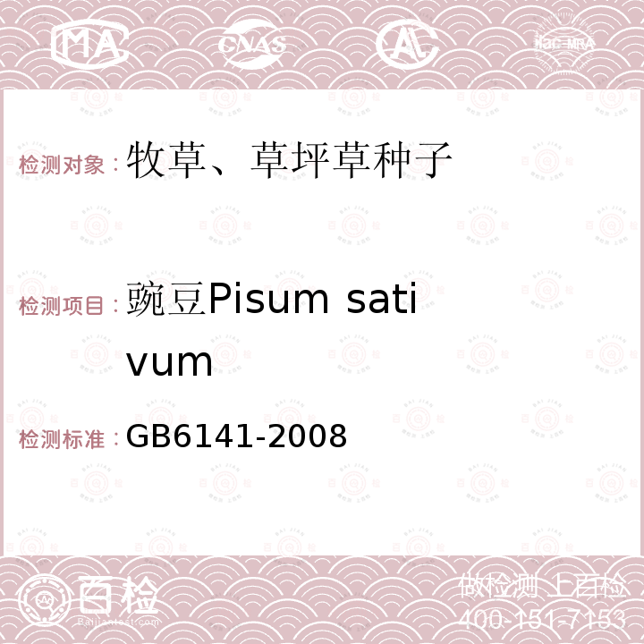 豌豆Pisum sativum GB 6141-2008 豆科草种子质量分级