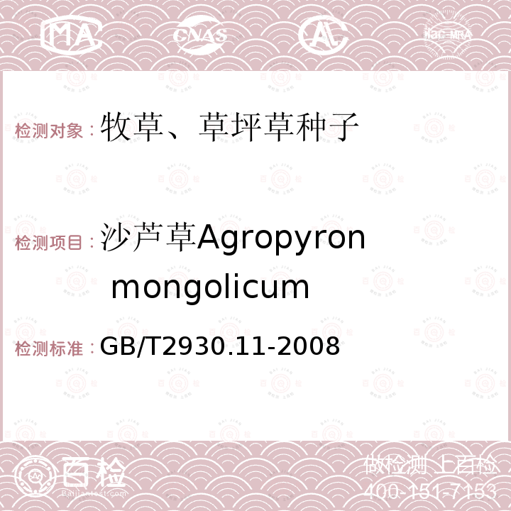 沙芦草Agropyron mongolicum GB/T 2930.11-2008 草种子检验规程 检验报告