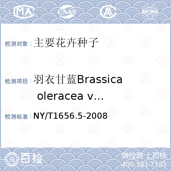 羽衣甘蓝Brassica oleracea var. acephala f.tricolor NY/T 1656.5-2008 花卉检验技术规范 第5部分:花卉种子检验