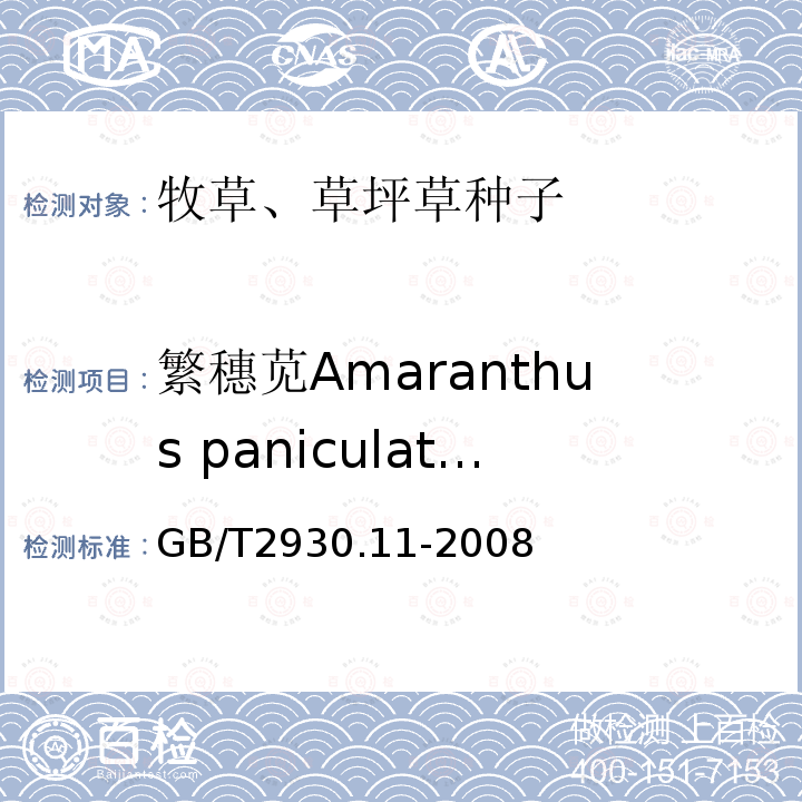 繁穗苋Amaranthus paniculatus GB/T 2930.11-2008 草种子检验规程 检验报告