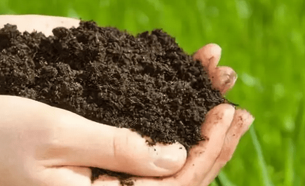 土壤检测标准，土壤中砷的卫生标准