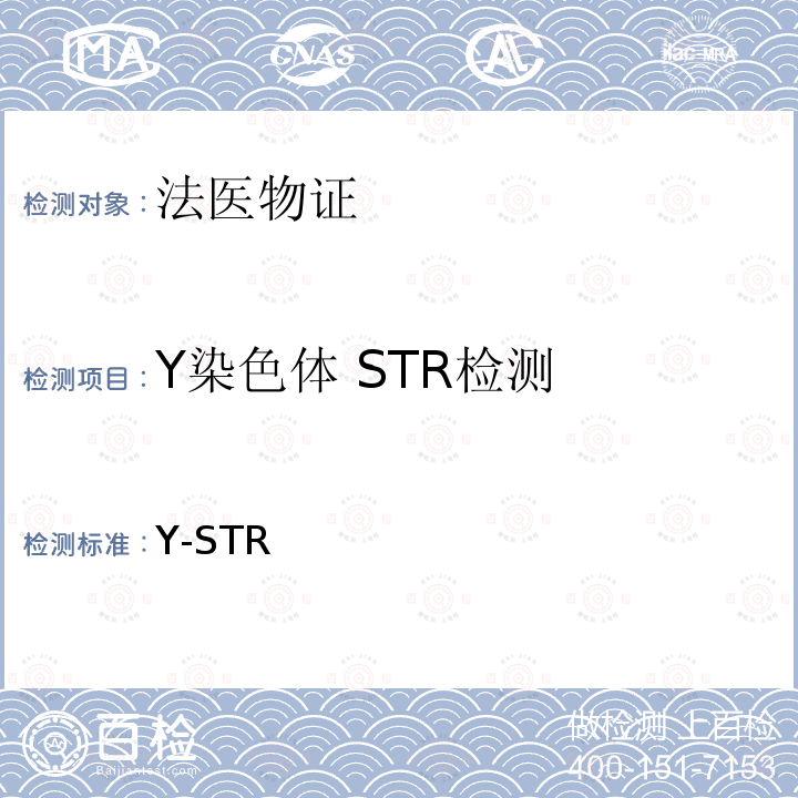 Y染色体 STR检测 《法医物证鉴定Y-STR检验规范》