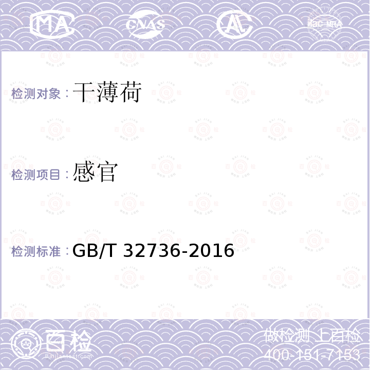 感官 GB/T 32736-2016 干薄荷