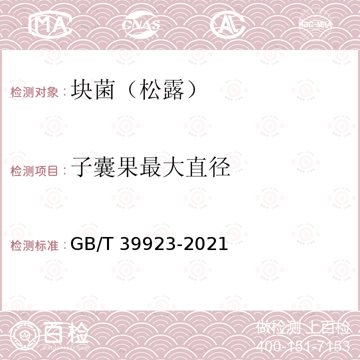 子囊果最大直径 GB/T 39923-2021 块菌(松露）