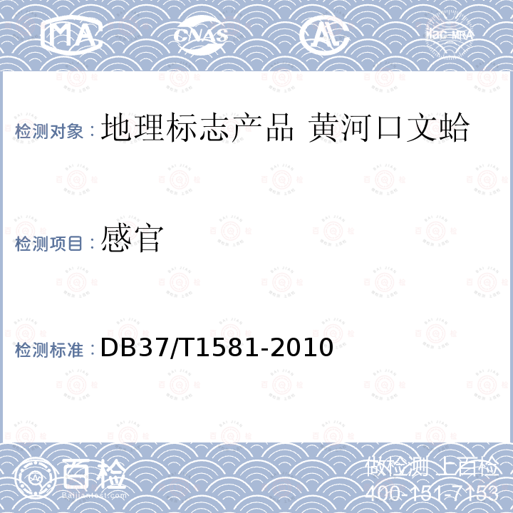 感官 DB37/T 1581-2010 地理标志产品  黄河口文蛤