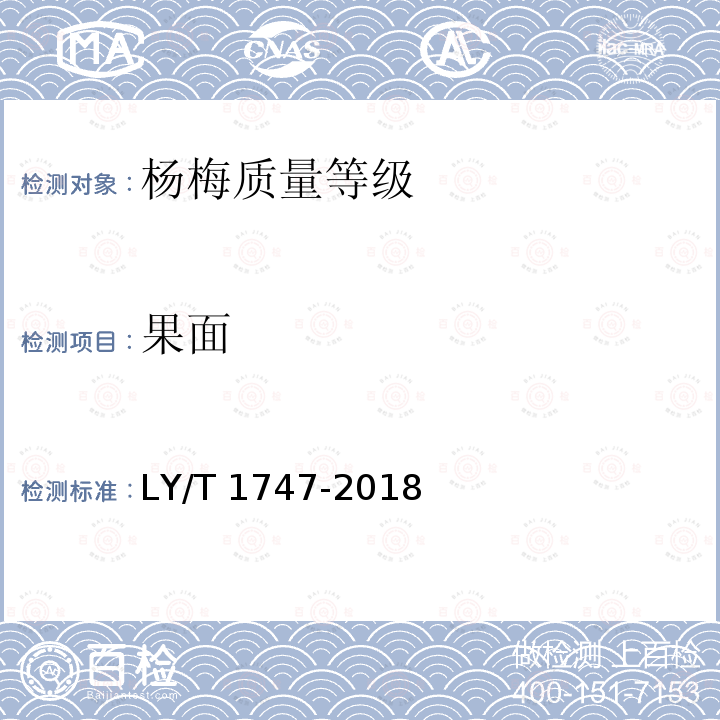 果面 LY/T 1747-2018 杨梅质量等级