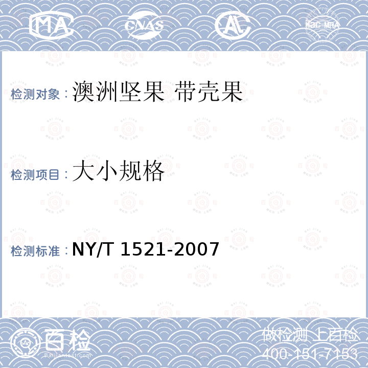 大小规格 NY/T 1521-2007 澳洲坚果 带壳果