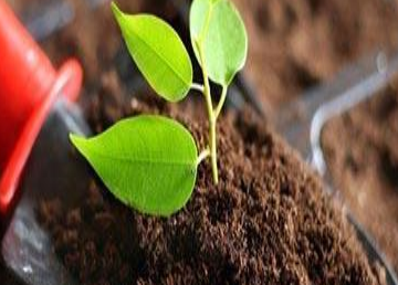 绿化种植土壤检测，如何评定绿化种植土壤是否合格