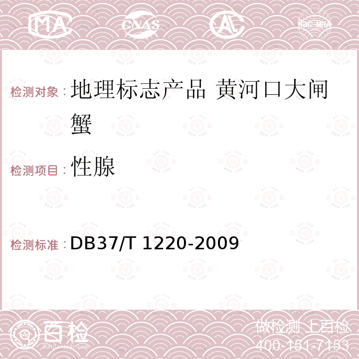 性腺 DB37/T 1220-2009 地理标志产品 黄河口大闸蟹