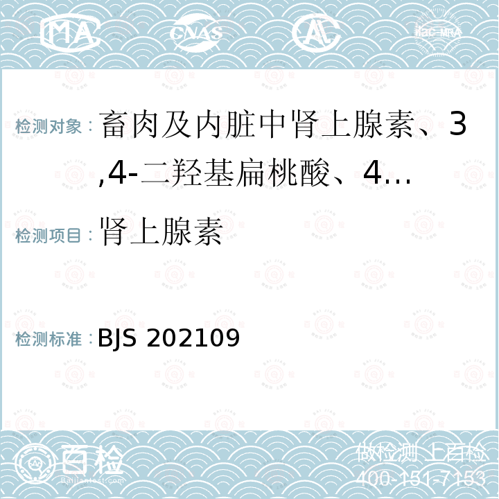 肾上腺素 肾上腺素 BJS 202109