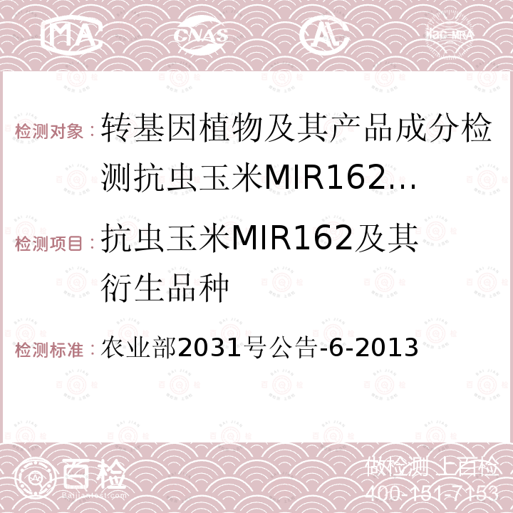 抗虫玉米MIR162及其衍生品种 抗虫玉米MIR162及其衍生品种 农业部2031号公告-6-2013