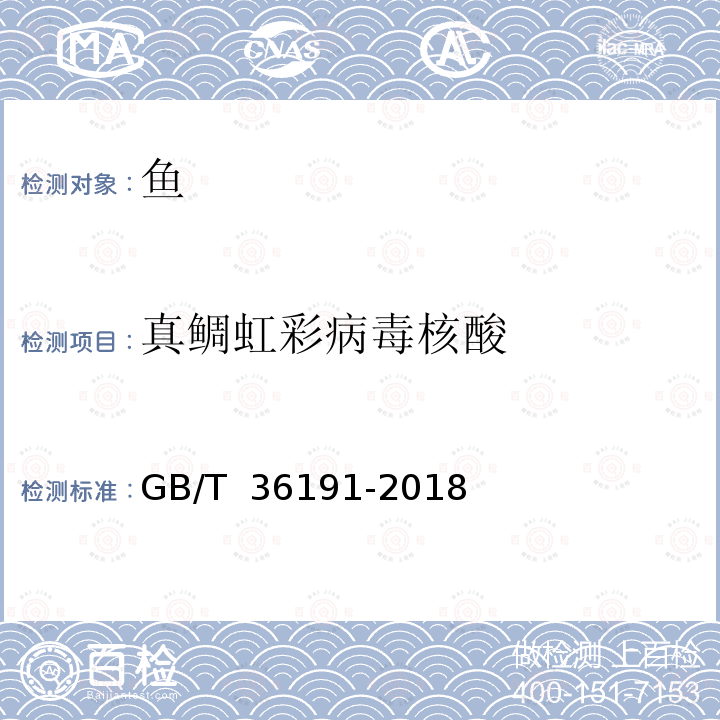 真鲷虹彩病毒核酸 真鲷虹彩病毒病诊断规程 GB/T 36191-2018