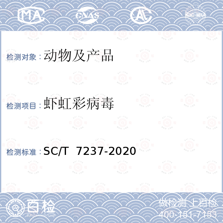 虾虹彩病毒 SC/T 7237-2020 虾虹彩病毒病诊断规程