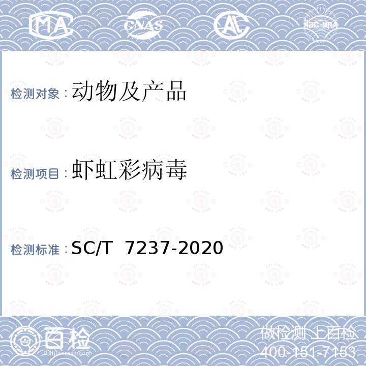 虾虹彩病毒 虾虹彩病毒病诊断规程 SC/T 7237-2020