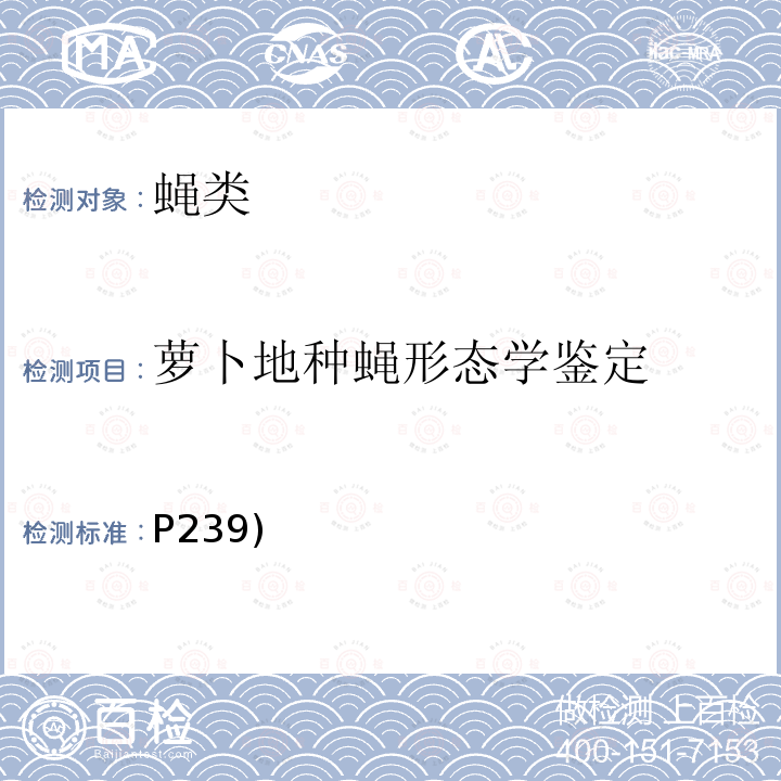 萝卜地种蝇形态学鉴定 P239)  《中国国境口岸医学媒介生物鉴定图谱》(第一版)天津出版传媒集团/天津科学技术出版社 2015 蝇类 萝卜地种蝇(P239)  