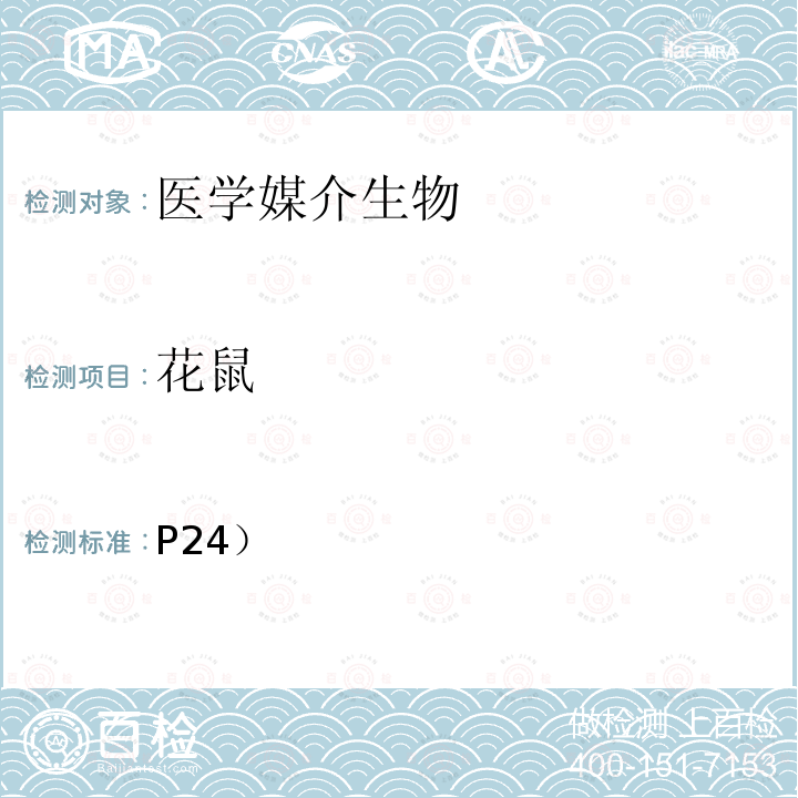 花鼠 P24）  《中国国境口岸医学媒介生物鉴定图谱》(第一版)天津科学技术出版社 2015  （ 