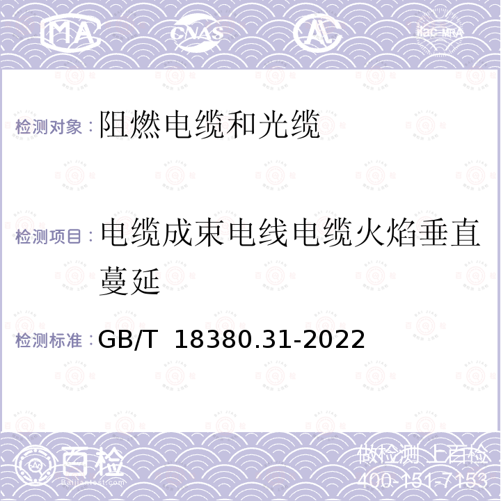 电缆成束电线电缆火焰垂直蔓延 GB/T 18380.31-2022 电缆和光缆在火焰条件下的燃烧试验 第31部分：垂直安装的成束电线电缆火焰垂直蔓延试验　试验装置