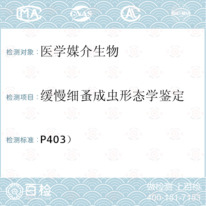 缓慢细蚤成虫形态学鉴定 P403）  《中国国境口岸医学媒介生物鉴定图谱》天津科学技术出版社 2015 蚤类 缓慢细蚤（ 