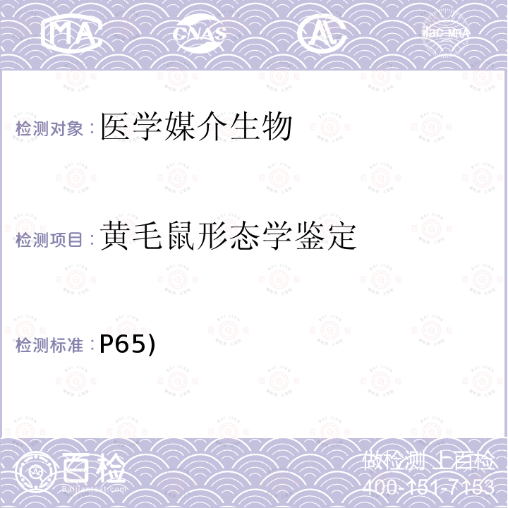 黄毛鼠形态学鉴定 P65)  《中国国境口岸医学媒介生物鉴定图谱》天津科学技术出版社 2015 鼠类 黄毛鼠(P65)  