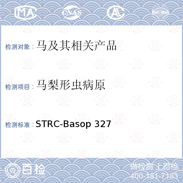 马梨形虫病原 马梨形虫病病原双重荧光PCR检测方法 STRC-Basop327