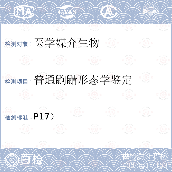 普通鼩鼱形态学鉴定 《中国国境口岸医学媒介生物鉴定图谱》天津科学技术出版社 2015 鼠类 普通鼩鼱(P17）  