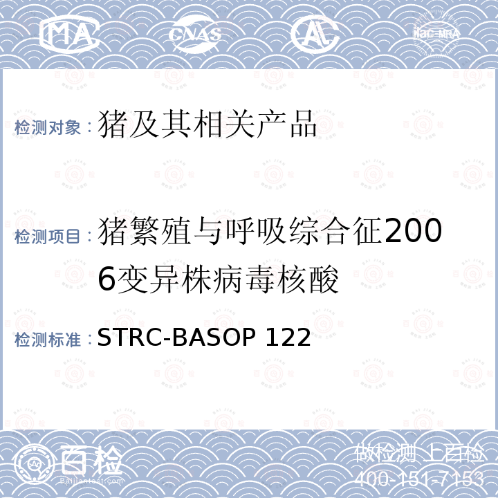 猪繁殖与呼吸综合征2006变异株病毒核酸 STRC-BASOP 122 猪繁殖与呼吸综合征病毒2006变异株荧光RT-PCR检测方法 STRC-BASOP122