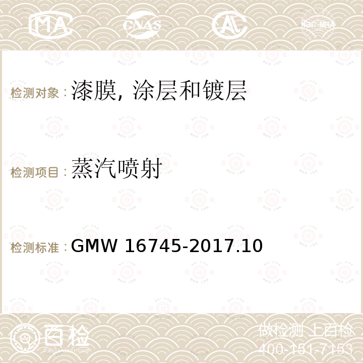 蒸汽喷射 16745-2017  GMW.10