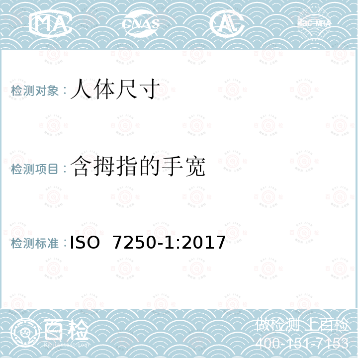 含拇指的手宽 用于技术设计的人体测量基础项目 第1部分 人体测量定义和标记点 ISO 7250-1:2017