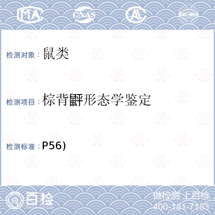 棕背䶄形态学鉴定 P56)  《中国国境口岸医学媒介生物鉴定图谱》(第一版)天津出版传媒集团/天津科学技术出版社 2015鼠类 棕背䶄(P56)  