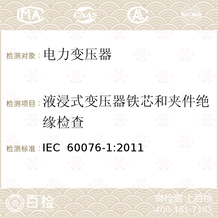 液浸式变压器铁芯和夹件绝缘检查 《电力变压器 第1部分：总则》 IEC 60076-1:2011