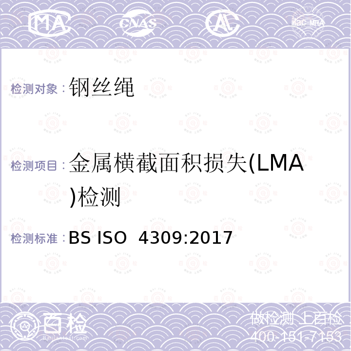金属横截面积损失(LMA)检测 BS ISO 4309-2017 起重机 钢丝绳 维护、保养、检查和报废
