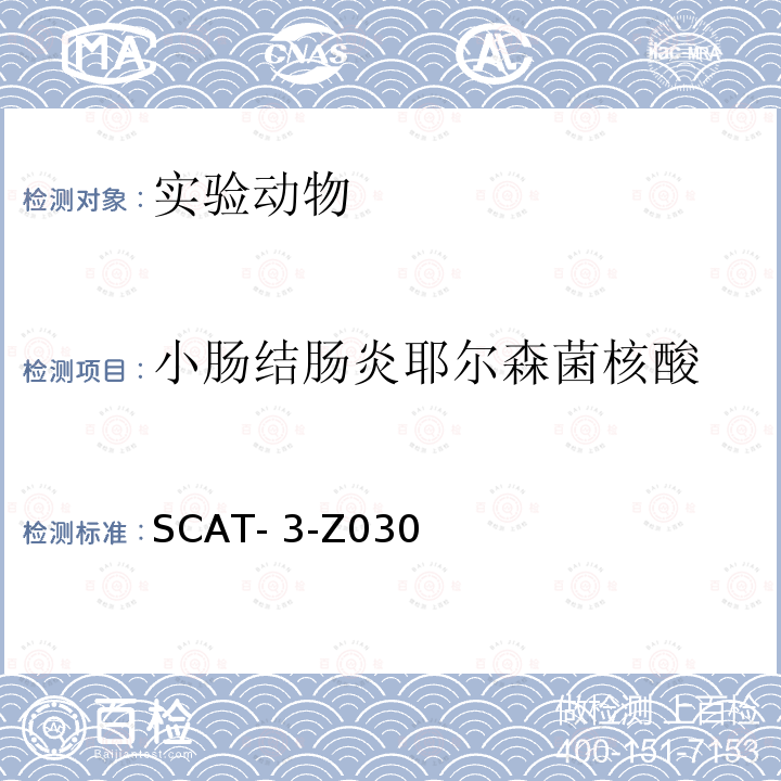 小肠结肠炎耶尔森菌核酸 SCAT- 3-Z030 小肠结肠炎耶尔森菌PCR检测方法 SCAT-3-Z030