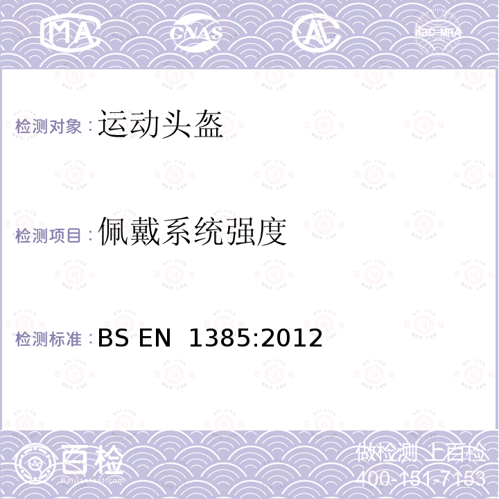 佩戴系统强度 皮划艇和水上运动用头盔 BS EN 1385:2012