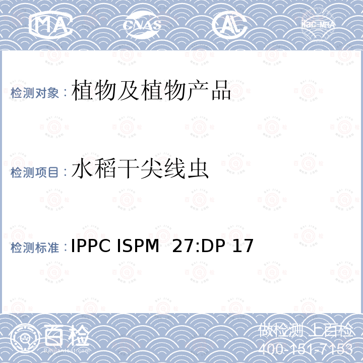 水稻干尖线虫 IPPC ISPM  27:DP 17 贝西滑刃线虫、草莓滑刃线虫和菊花滑刃线虫的诊断规程 IPPC ISPM 27:DP 17