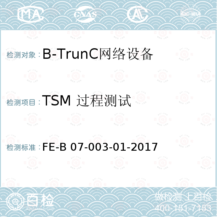 TSM 过程测试 FE-B 07-003-01-2017 B-TrunC 终端到集群核心网R1 检验规程 FE-B07-003-01-2017