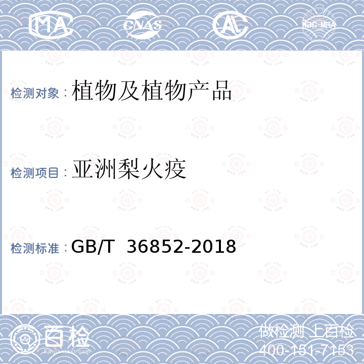 亚洲梨火疫 GB/T 36852-2018 亚洲梨火疫病菌检疫鉴定方法