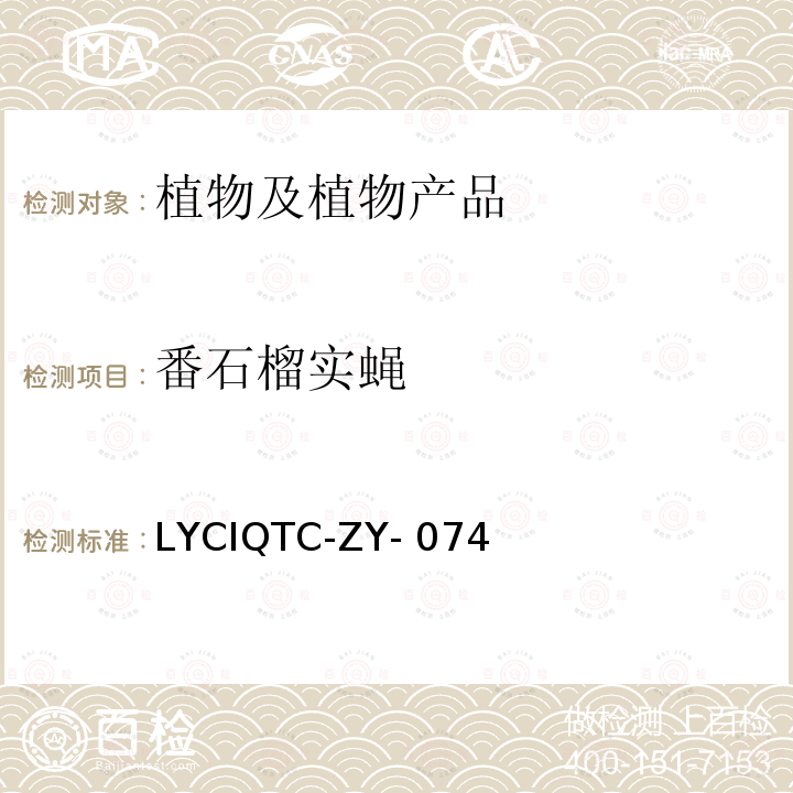 番石榴实蝇 LYCIQTC-ZY- 074 检疫鉴定方法LYCIQTC-ZY-074  