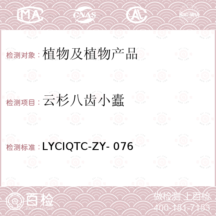 云杉八齿小蠹 云杉八齿小蠹检疫鉴定方法 LYCIQTC-ZY-076  