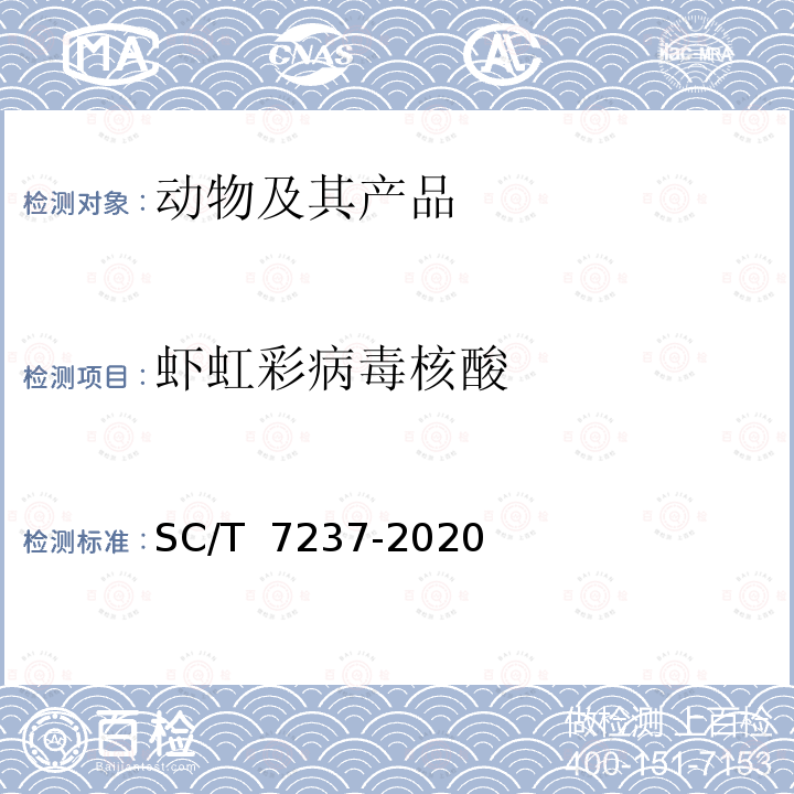 虾虹彩病毒核酸 SC/T 7237-2020 虾虹彩病毒病诊断规程
