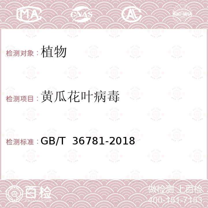 黄瓜花叶病毒 GB/T 36781-2018 瓜类种传病毒检疫鉴定方法