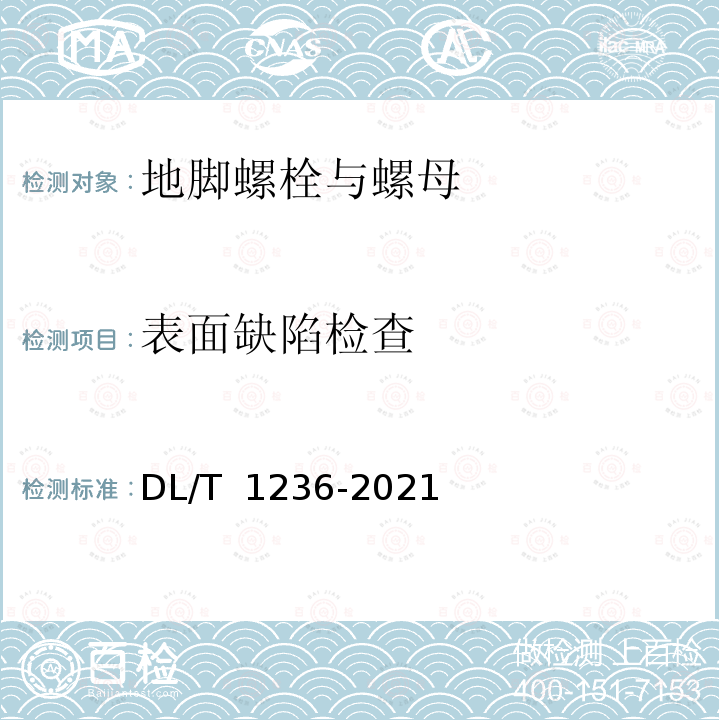 表面缺陷检查 DL/T 1236-2021 输电杆塔用地脚螺栓与螺母