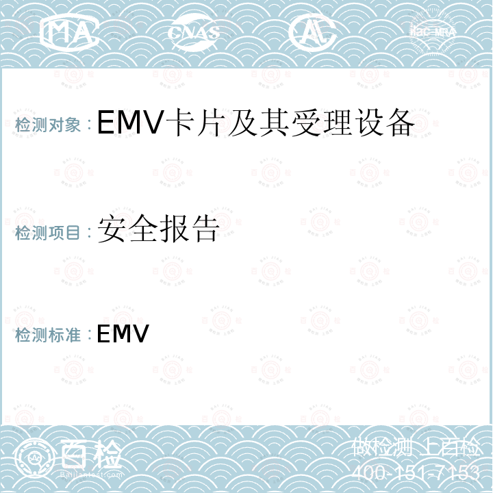 安全报告 EMV 移动支付 基于软件的移动支付安全要求 ___
