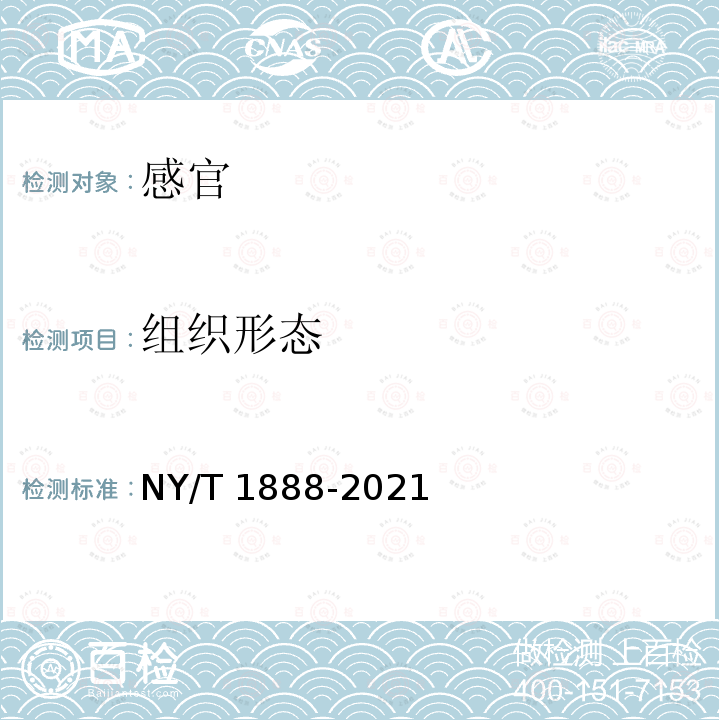 组织形态 NY/T 1888-2021 绿色食品 软体动物休闲食品